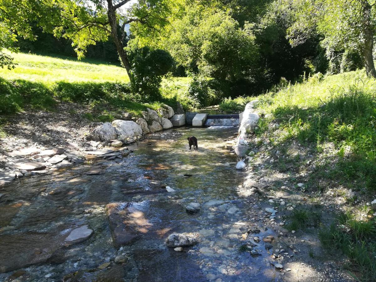 B&B Il Crogiolo Bosentino Εξωτερικό φωτογραφία