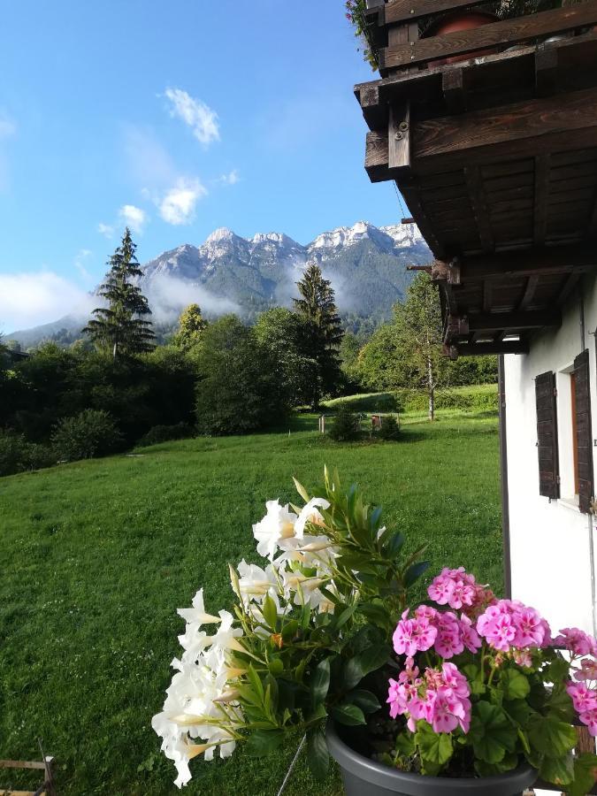 B&B Il Crogiolo Bosentino Εξωτερικό φωτογραφία